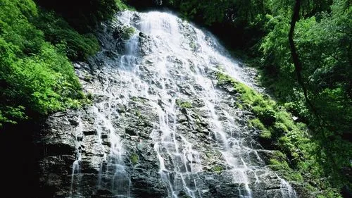 智能化智能